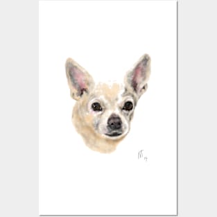 Smiling Chihuahua Pup Pooch Dog Posters and Art